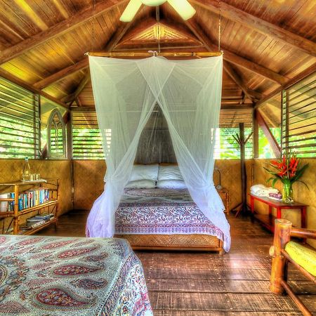 Iguana Lodge Beach Resort Puerto Jimenez Ngoại thất bức ảnh