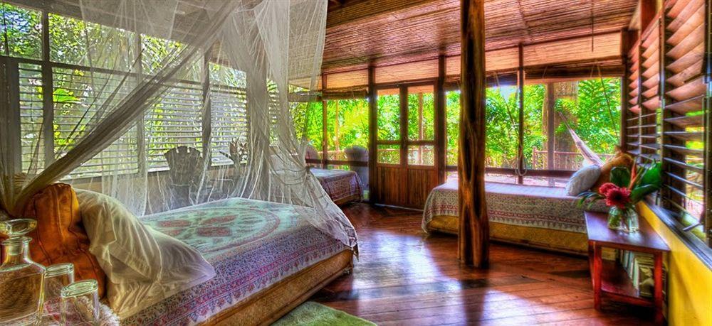 Iguana Lodge Beach Resort Puerto Jimenez Ngoại thất bức ảnh
