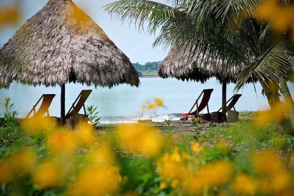 Iguana Lodge Beach Resort Puerto Jimenez Ngoại thất bức ảnh