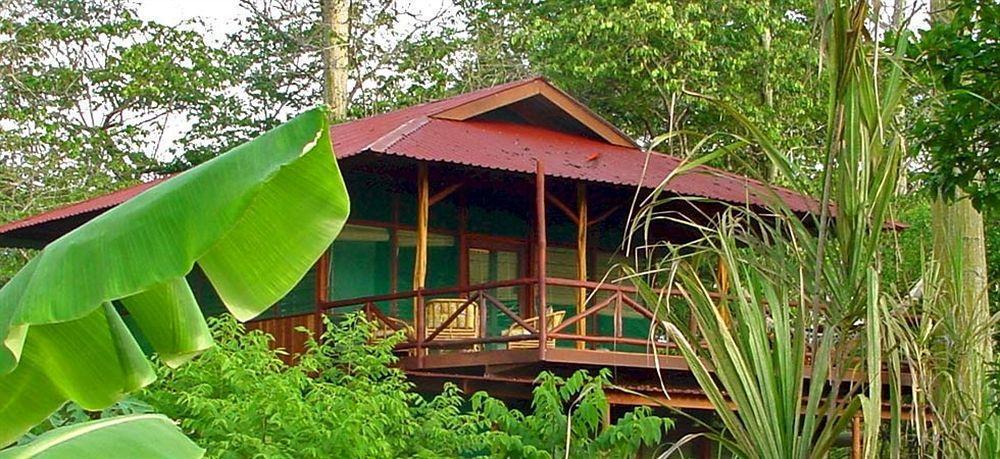 Iguana Lodge Beach Resort Puerto Jimenez Ngoại thất bức ảnh