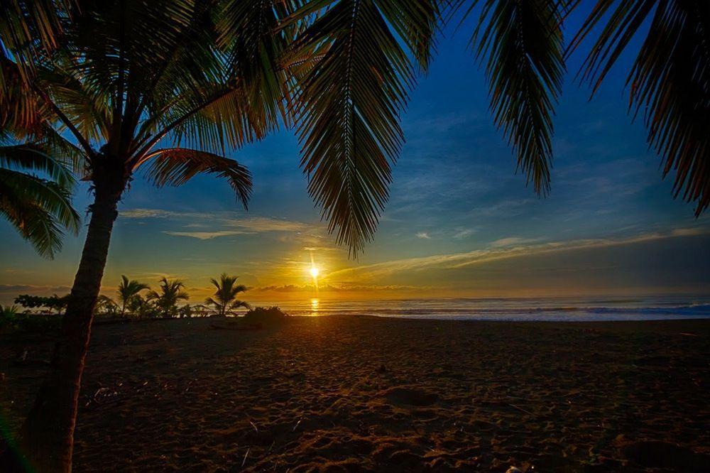 Iguana Lodge Beach Resort Puerto Jimenez Ngoại thất bức ảnh