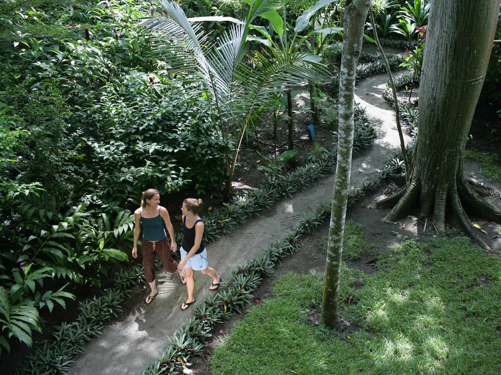 Iguana Lodge Beach Resort Puerto Jimenez Ngoại thất bức ảnh