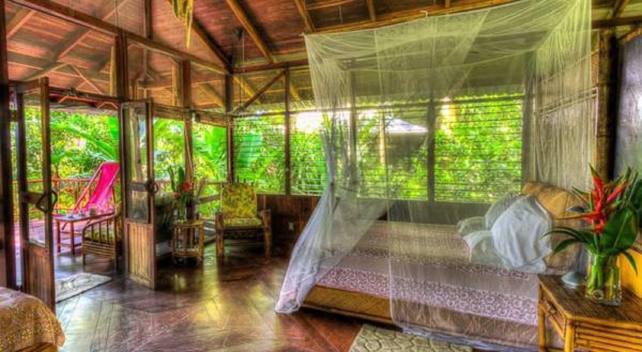 Iguana Lodge Beach Resort Puerto Jimenez Ngoại thất bức ảnh