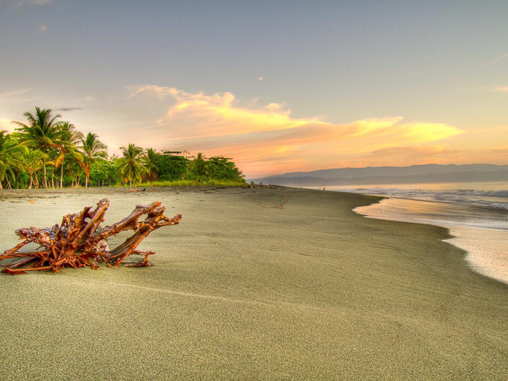 Iguana Lodge Beach Resort Puerto Jimenez Ngoại thất bức ảnh
